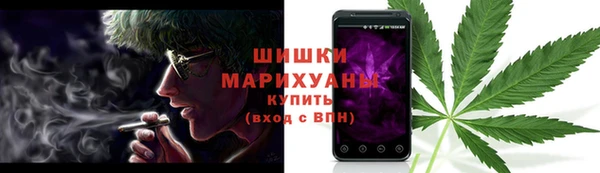 сатива Армянск