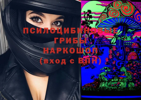 сатива Армянск