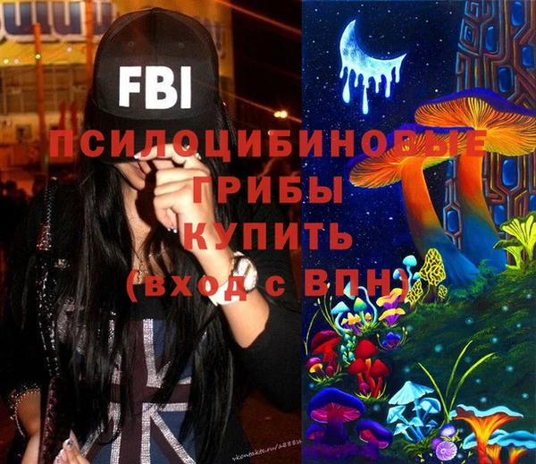 PSILOCYBIN Арсеньев